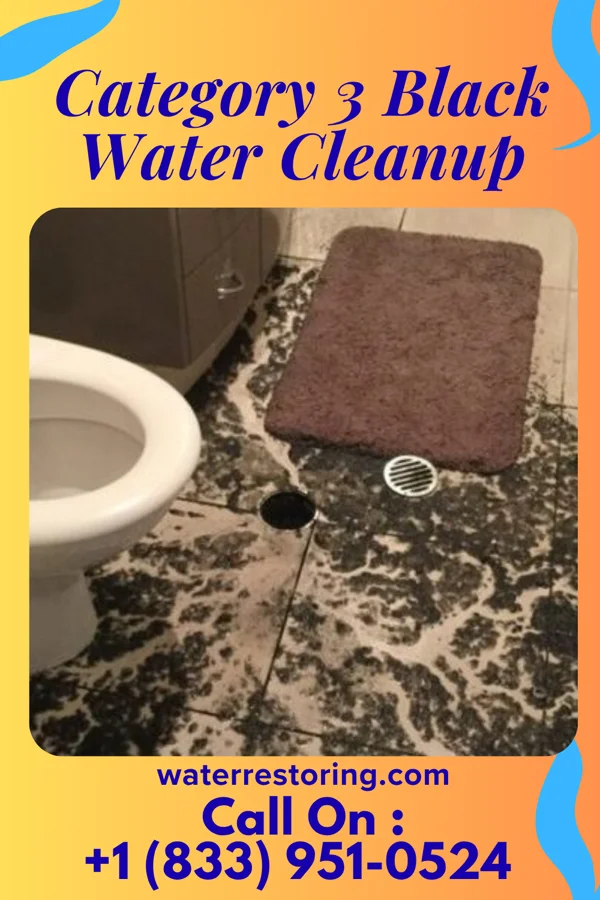 Category 3 Black Water Cleanup in Lawnton, PA