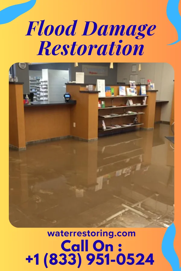 Flood Damage Restoration in Lawnton, PA
