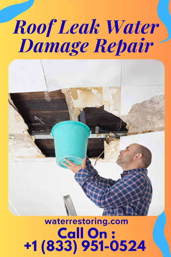 Roof Leak Water Damage Repair in Lawnton, PA