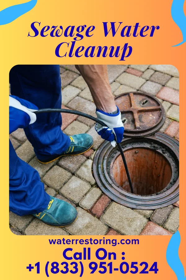 Sewage Water Cleanup in Lawnton, PA